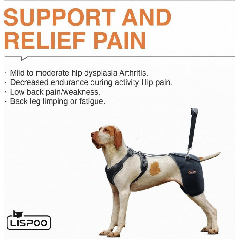 Dog Hip Joint Support Knee Brace Comfortable and Breathable Chest Harness