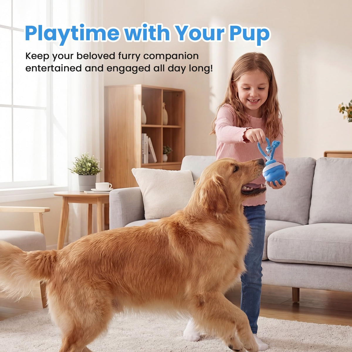 Jouets pour chiens, Jouets pour chiens interactifs, Balle pour chiens interactive automatique, 3 modes de mouvement activé D