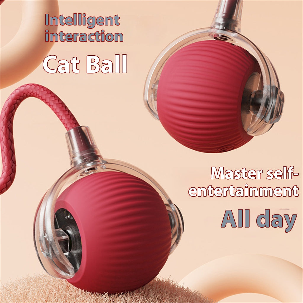 Jouet de chat électrique Automatique boule de chat auto-entertainment Rolling Ball