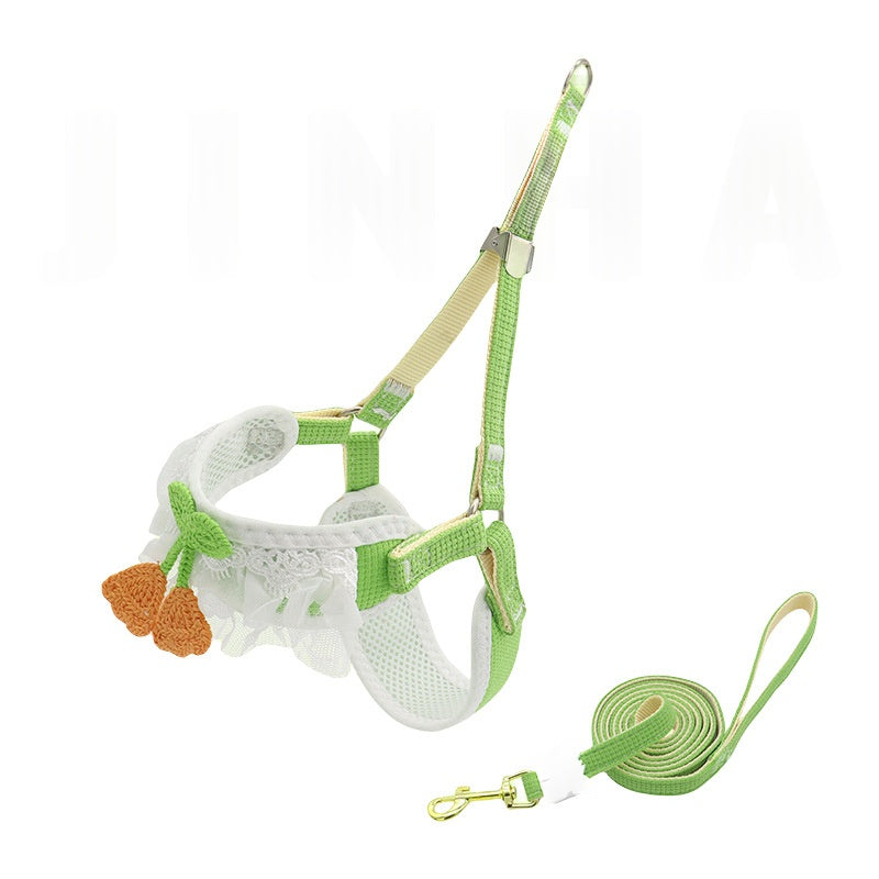 Feuille de chien pour petits chiens Bichon Frise Teddy Poméranie