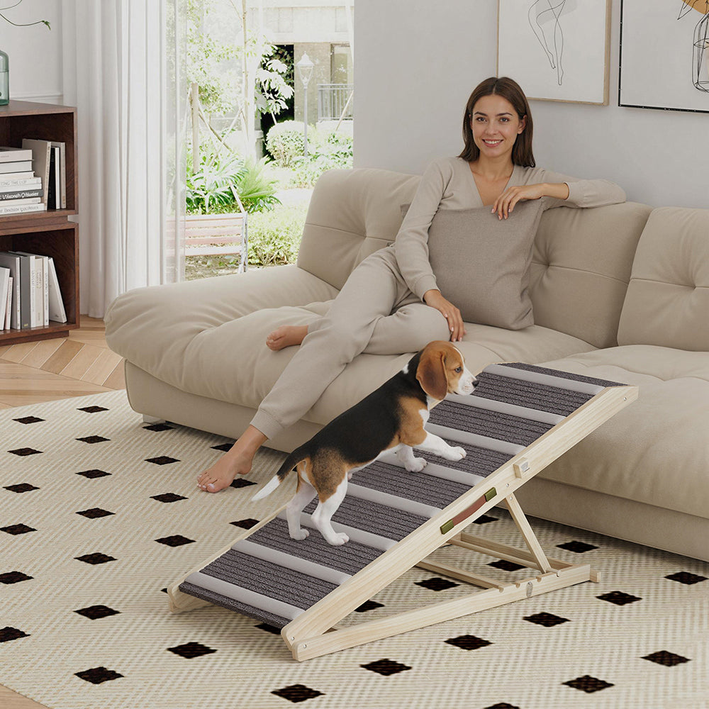 Dog Ramp for Couch