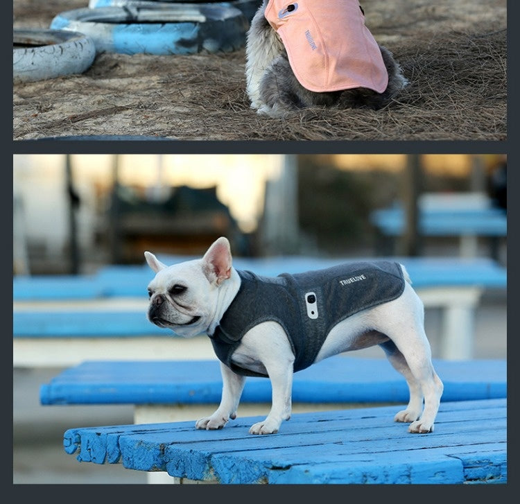 Chien Déodorant antibactérien Coton rembourré Coat