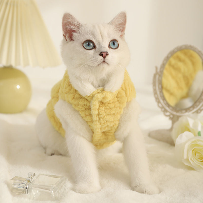 Vêtements de chat pour animaux de compagnie