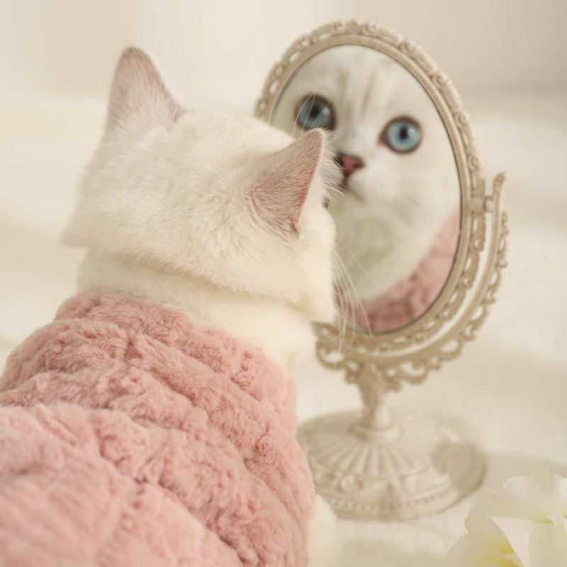 Vêtements de chat pour animaux de compagnie