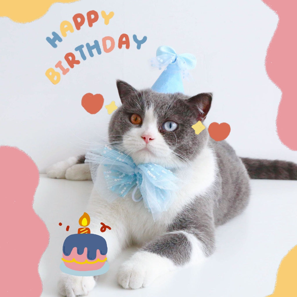 Chapeau d'anniversaire de chat Bow Tie Flower Party costume