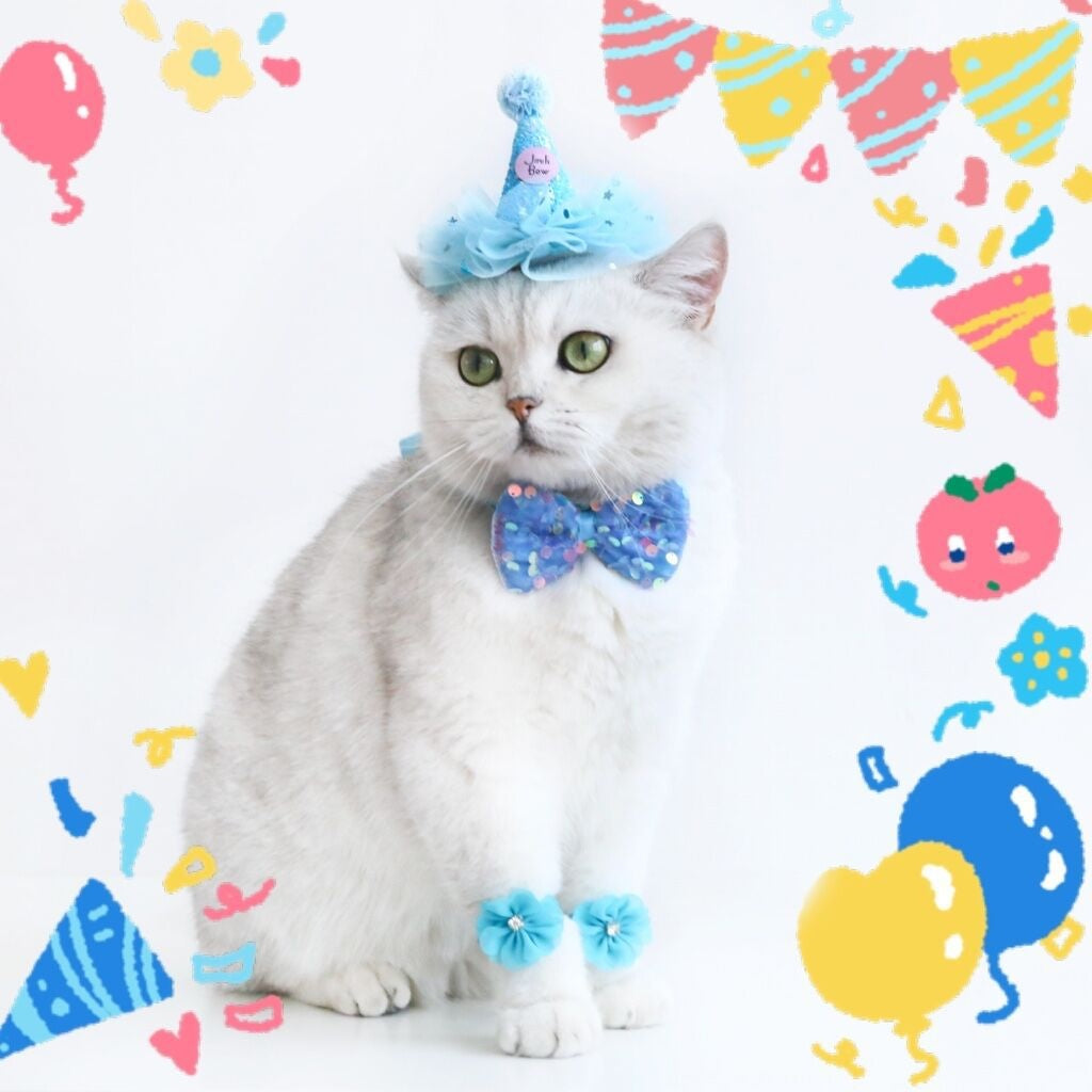 Chapeau d'anniversaire de chat Bow Tie Flower Party costume