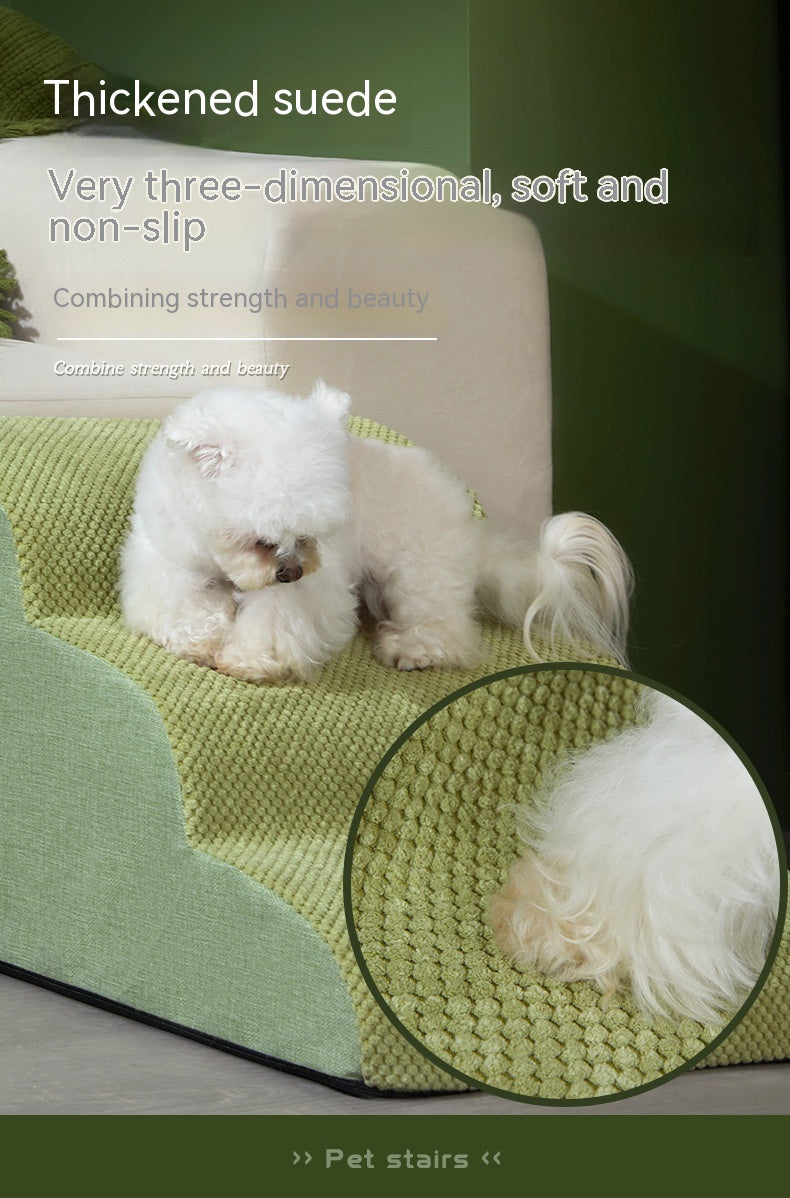 Échelle de chien de chien antidérapante