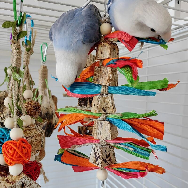 Jouets de perroquet Fournitures de bitumes de perroquet Oiseau Stand Rod Bird Cage