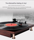 Vinyl Record Player Retro Ahogany Texture Phonograph