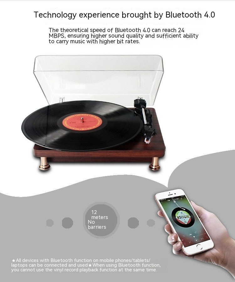 Vinyl Record Player Retro Ahogany Texture Phonograph