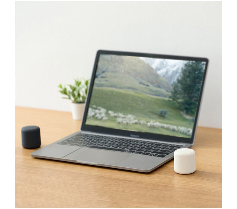 Mini haut-parleur sans fil portable Mini haut-parleur