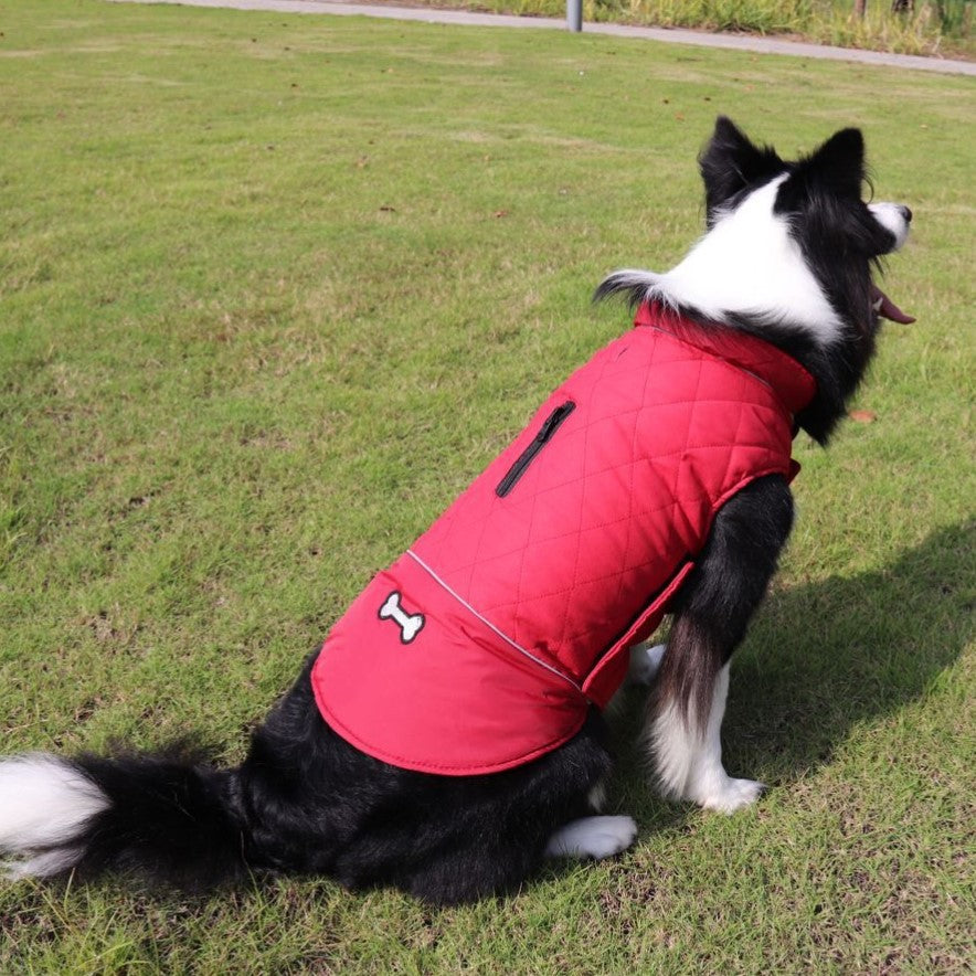 Mode Automne et hiver Vêtements de chien de plein air