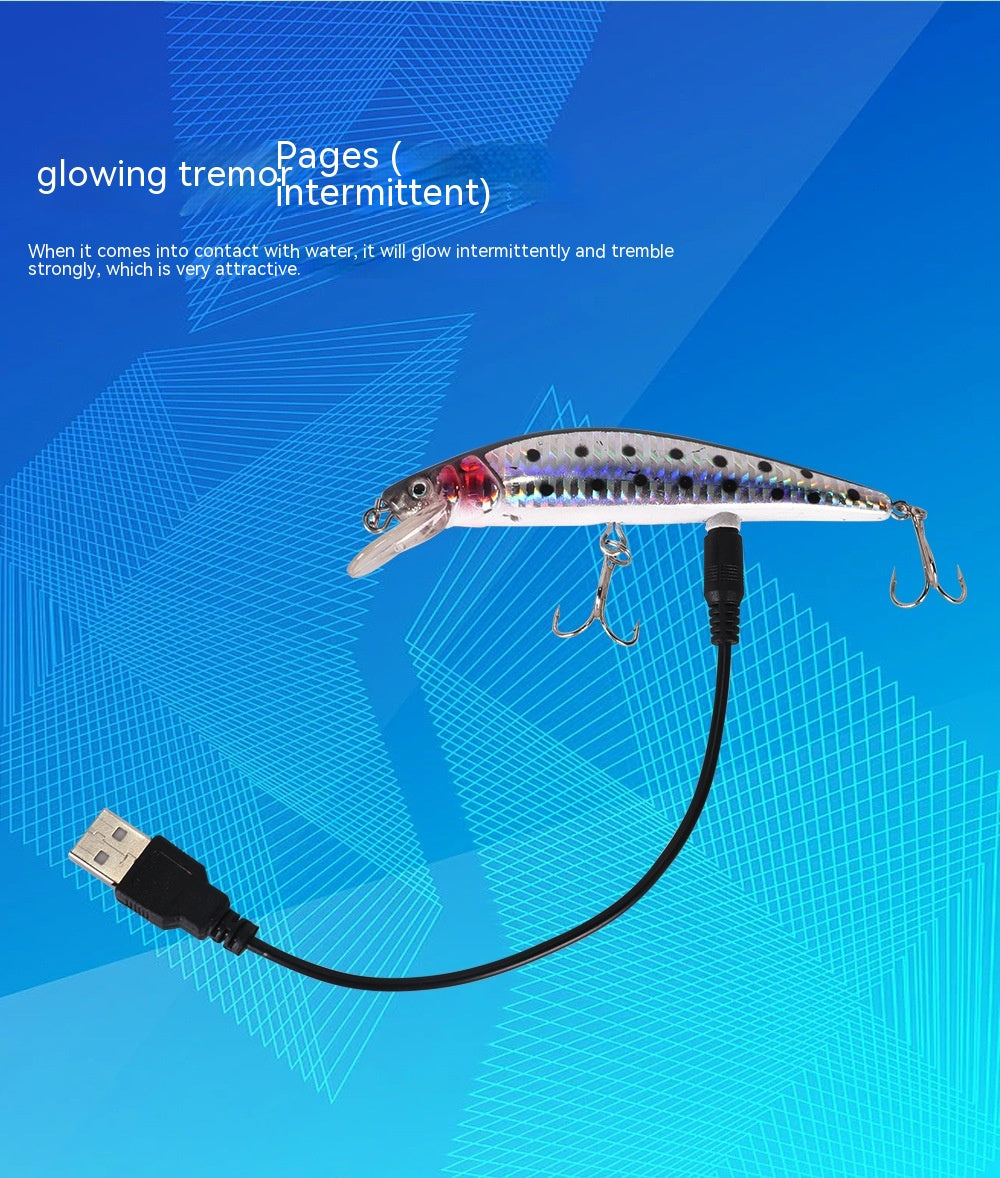 Flottant Mino lampe électrique USB Bait Simulation lumineuse Bait électrique