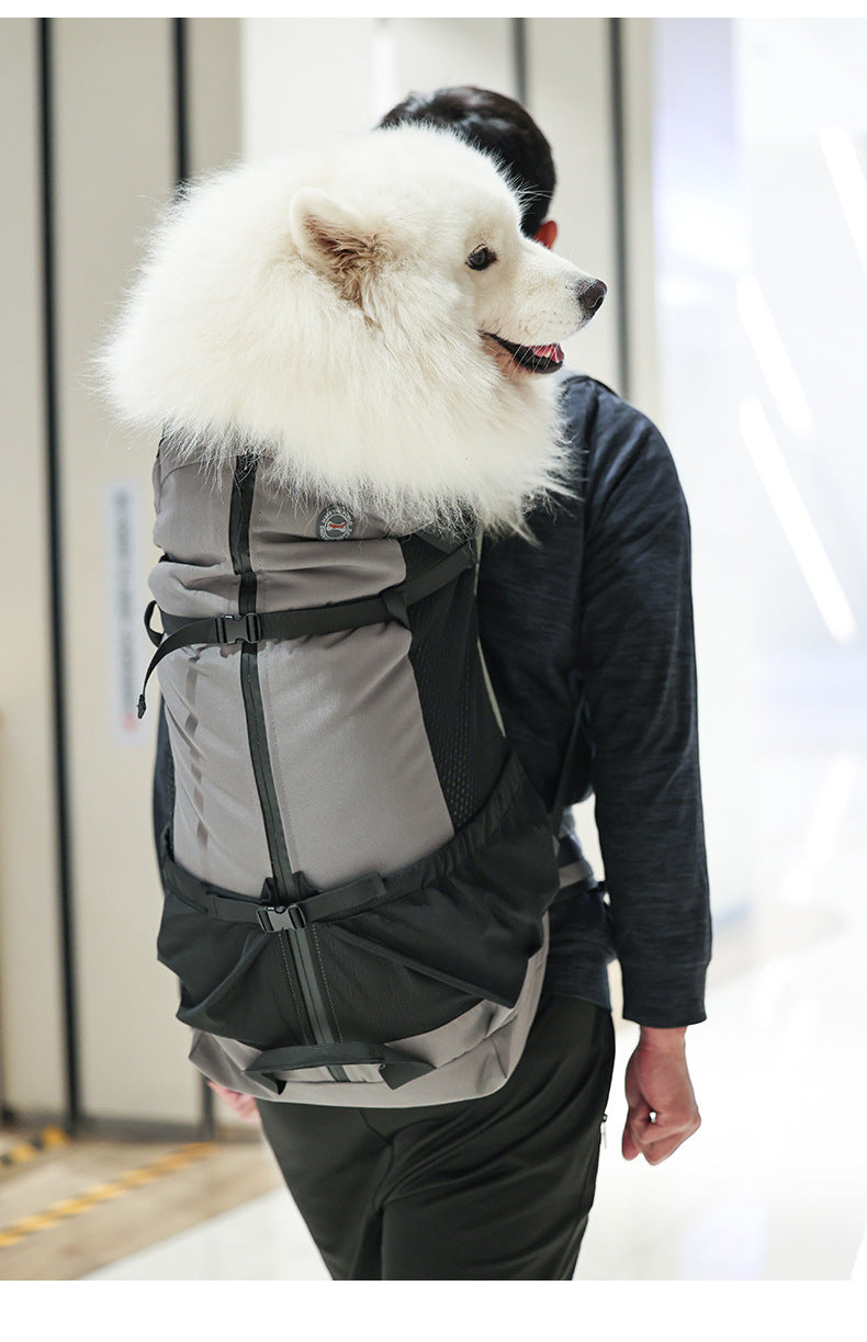 Sac à dos pour animaux de compagnie à double couche
