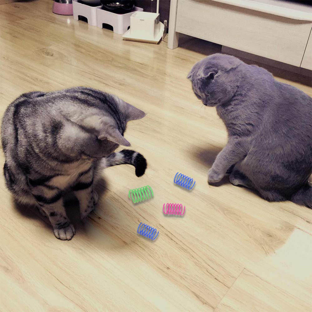 Jouet de printemps de chat
