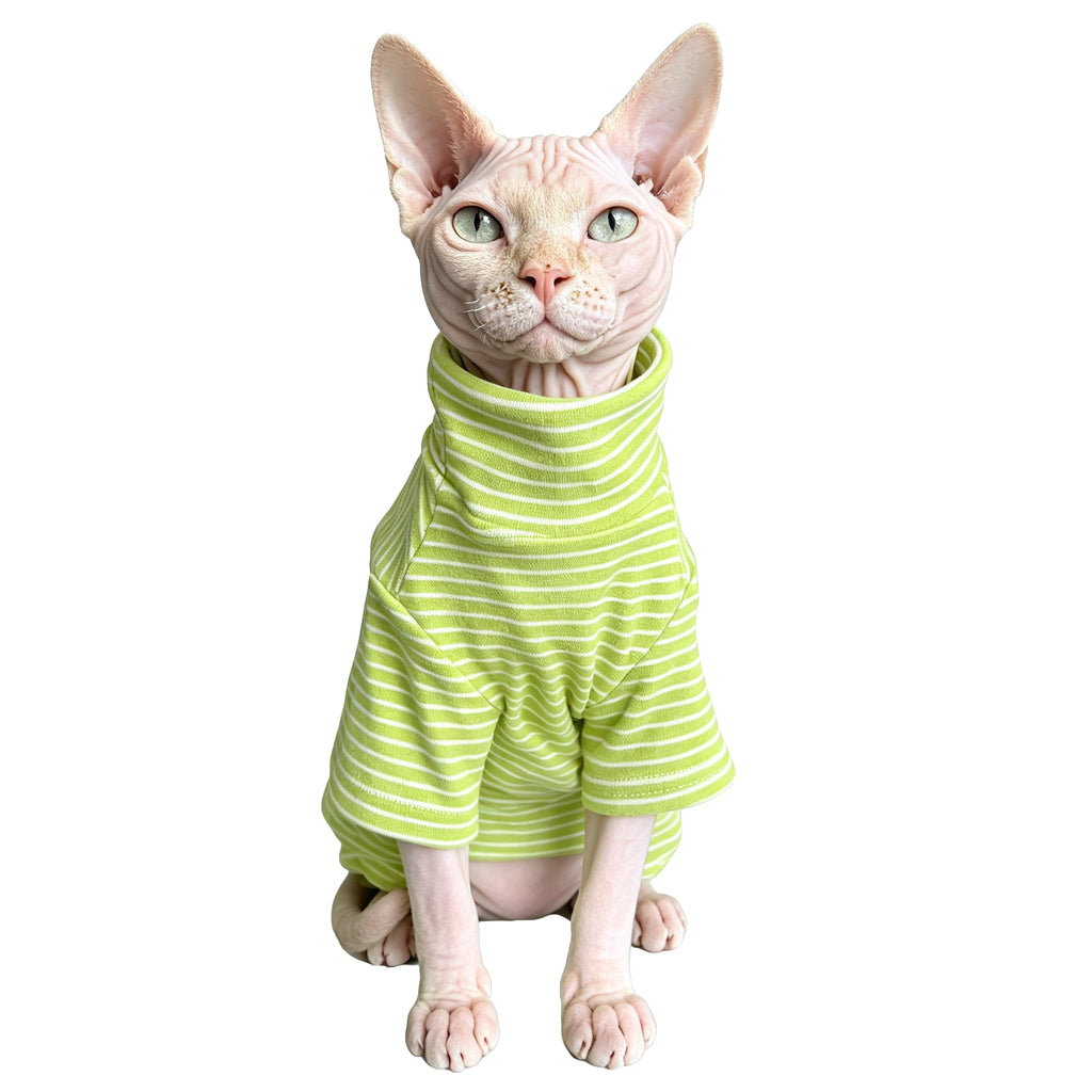 Vêtements de chat pour chats uniquement