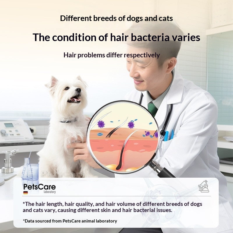 Shampooing animal avec des propriétés antibactériennes et anti-mites pour chiens