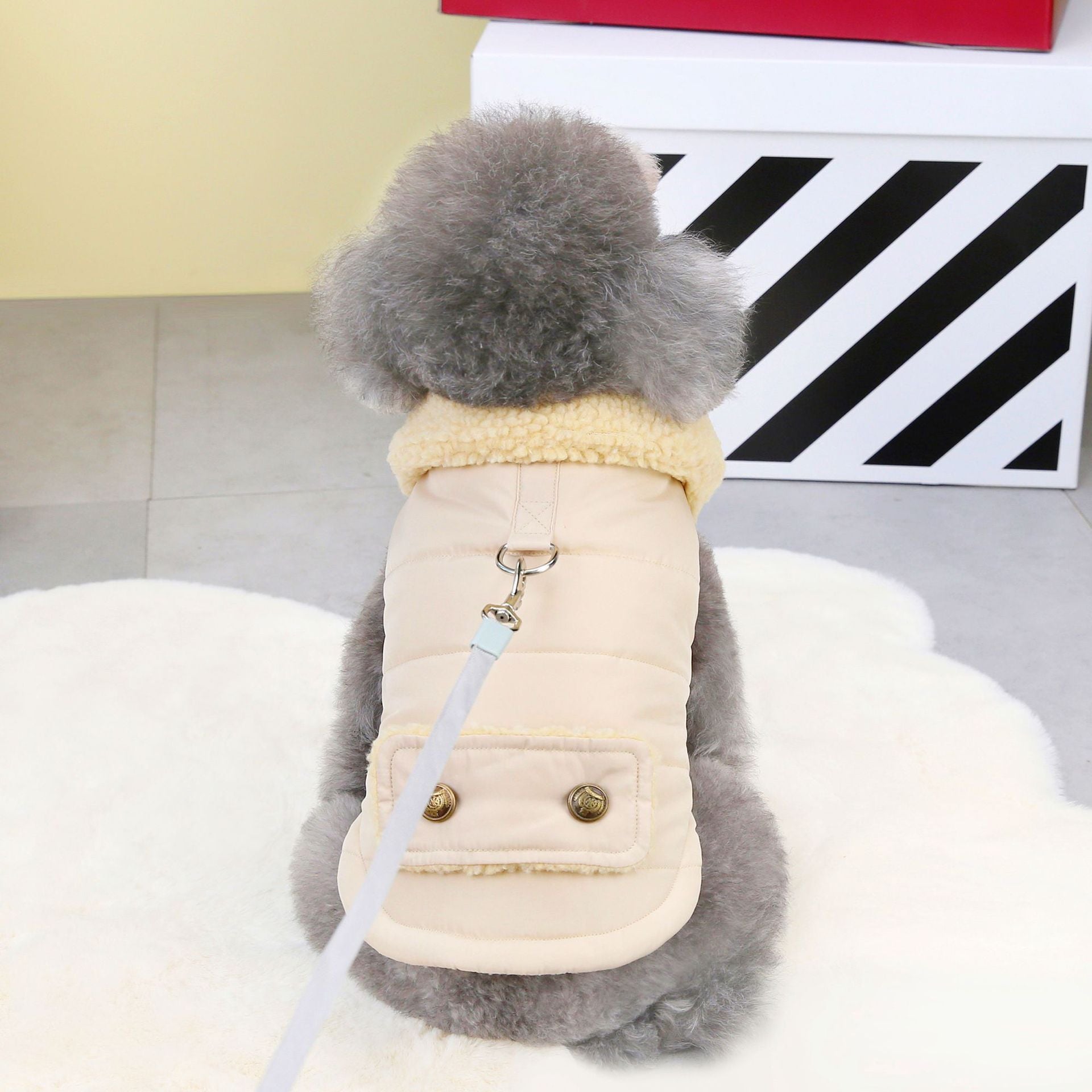 Teddy Cat Collier de fourrure nordique Veste de coton