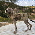 Vêtements de chien épais chaud extérieur