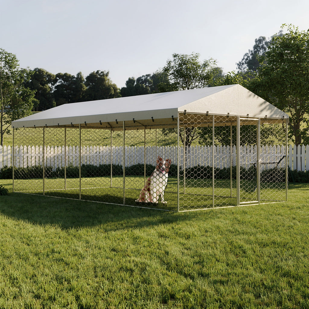 10x20 FT Grand Kennel de chien extérieur avec canopée