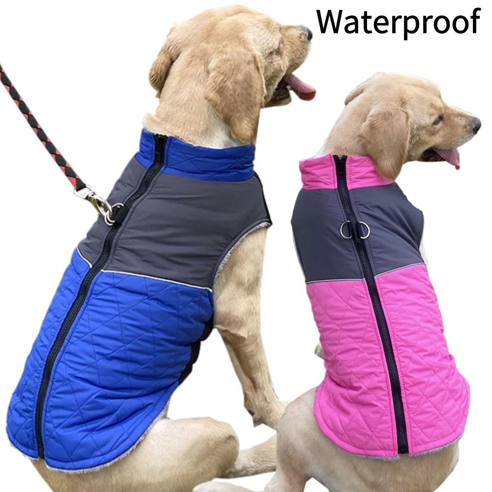 Chest Back Vêtements d'hiver et d'automne pour animaux de compagnie