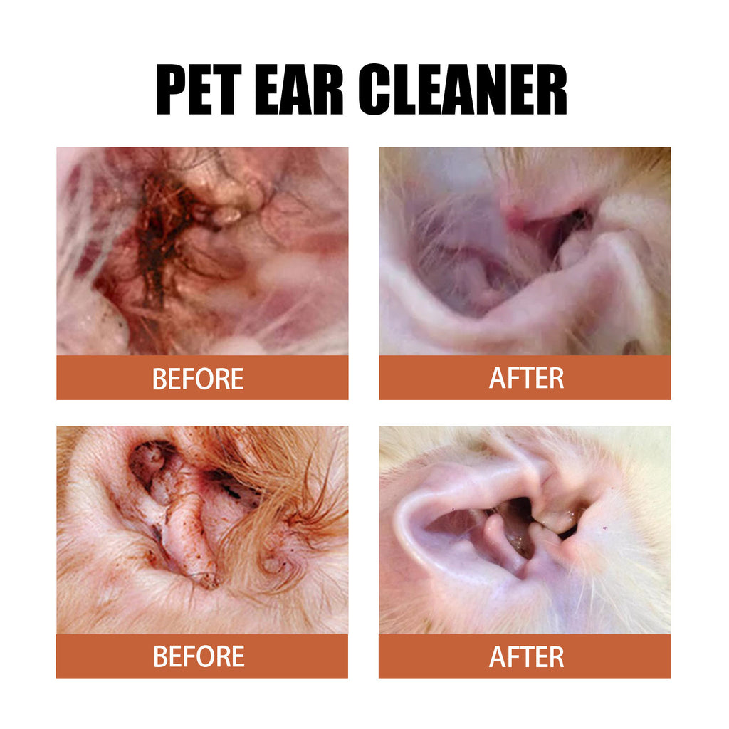 YEGBONG Les gouttes d'oreille d'un animal d'élevage soulagent le malaise de l'oreille chez les chats et les chiens