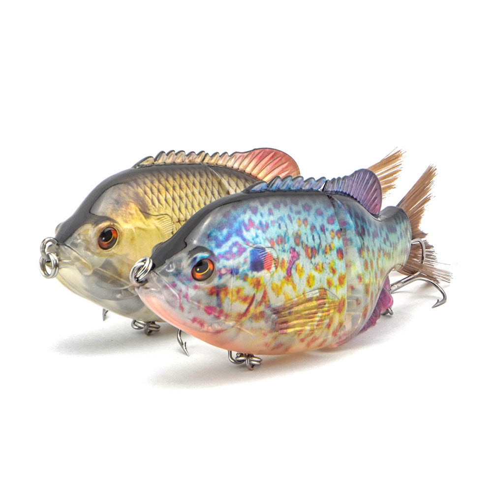 Simulation de pêche du Sunfish de Luya