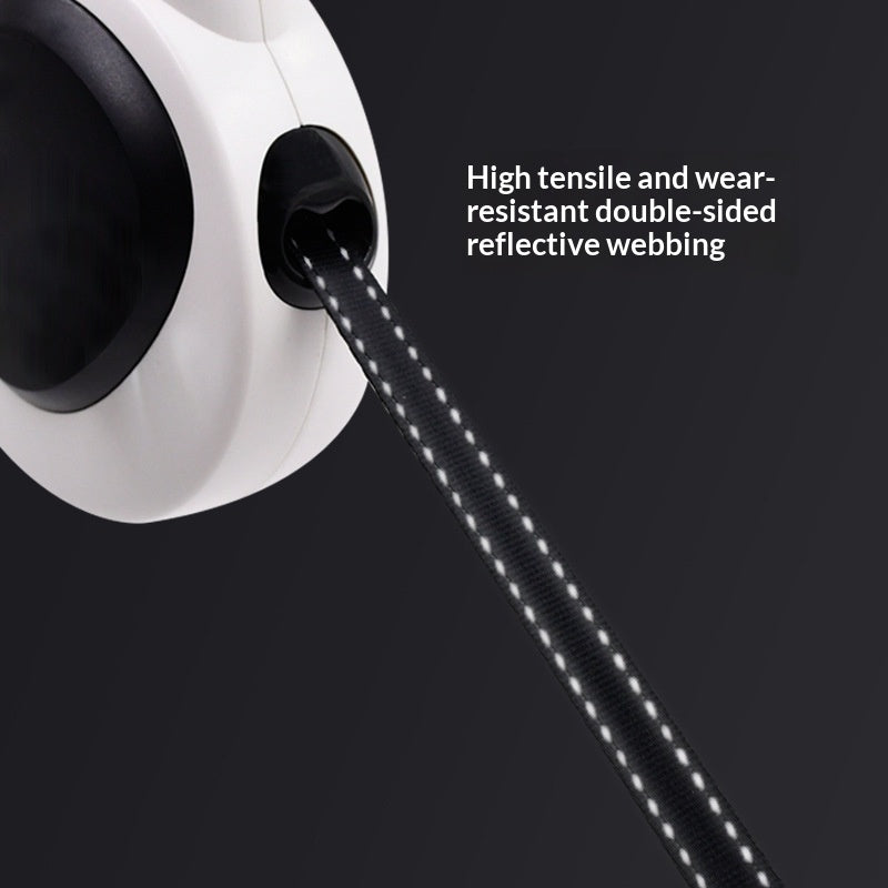 Pet Automatique Rétractable Reflective LED laisse