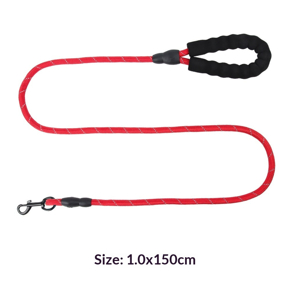 Explosion-Proof Reflective Pet Bungee Leash