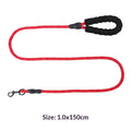 Explosion-Proof Reflective Pet Bungee Leash