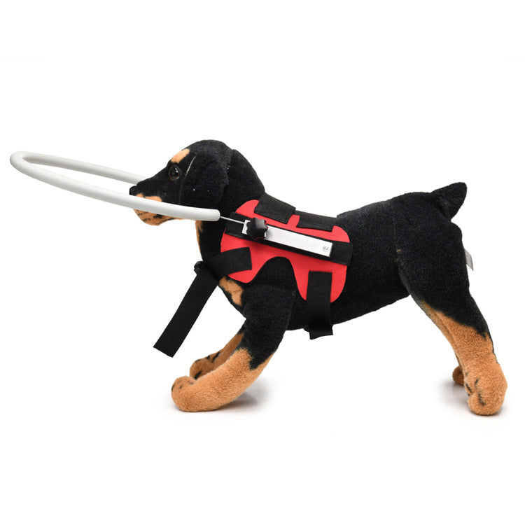 Collier Amazon Best-seller anti-collision avec laisse pour animaux aveugles