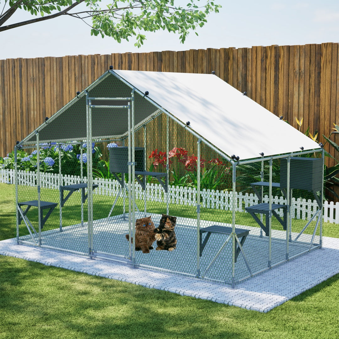 Extra robuste 3x2m en métal extérieur Cage de chat - Plate-forme en bois massif DIY