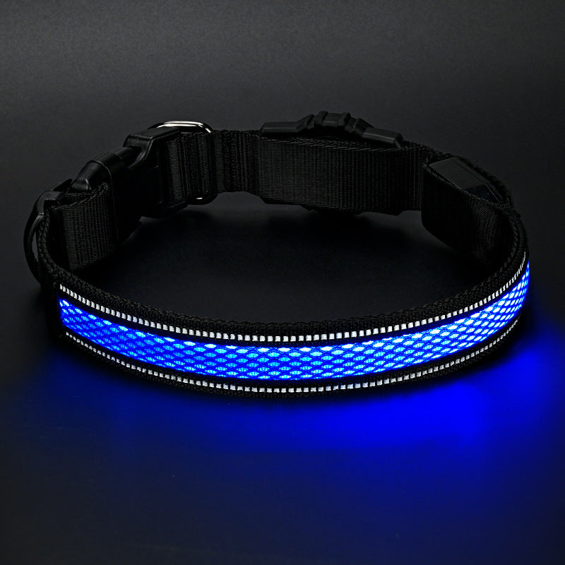 Collier de chien de Glowing imperméable rechargeable