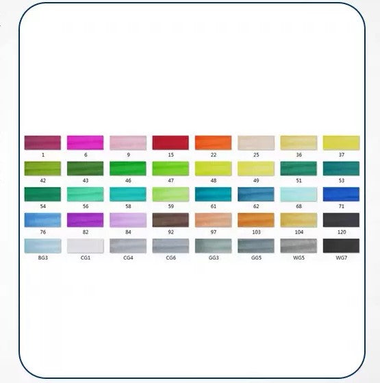 Double-tête alcool huileux couleur Animation stylo de peinture pour les étudiants professionnels d'art