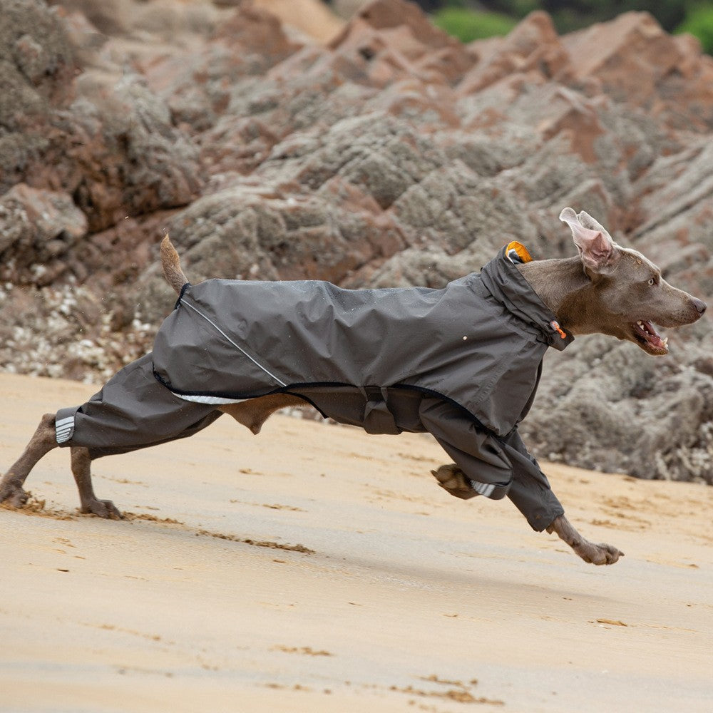 Poncho imperméable moyen grand chien à quatre pattes