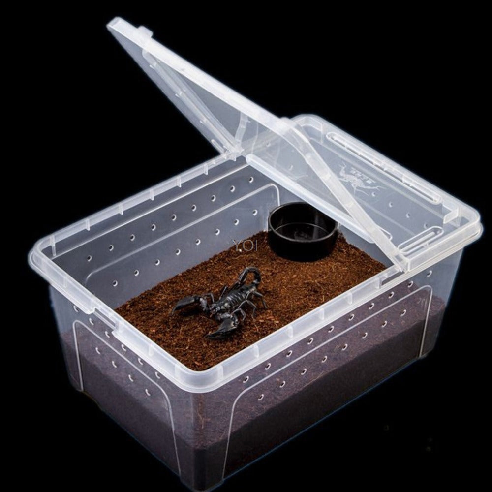 Boîte d'alimentation en plastique transparent reptile