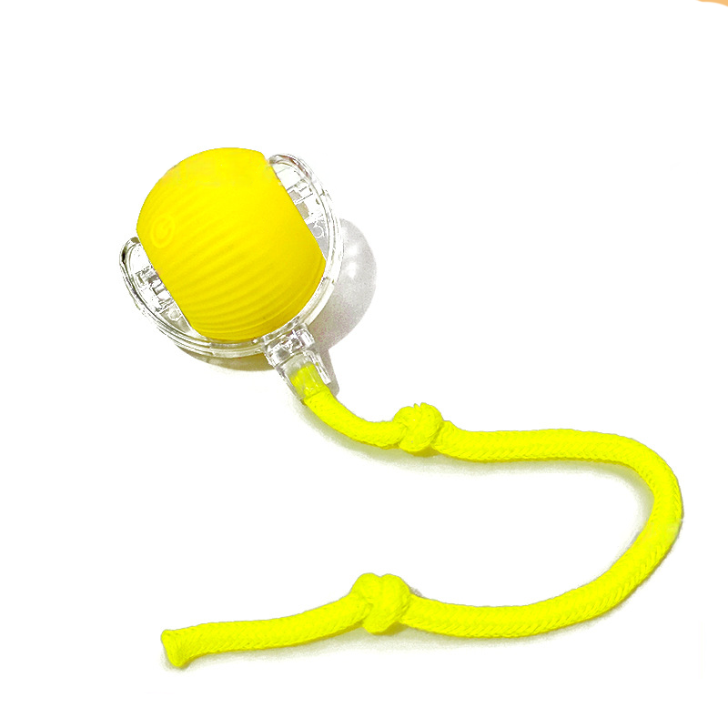 Chat Interactive Ball Toys Automatic Rolling Ball pour Kitten Smart Pet Electri rechargeable