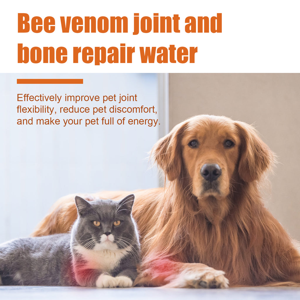 Huile de joint d'abeille pour chiens et chats