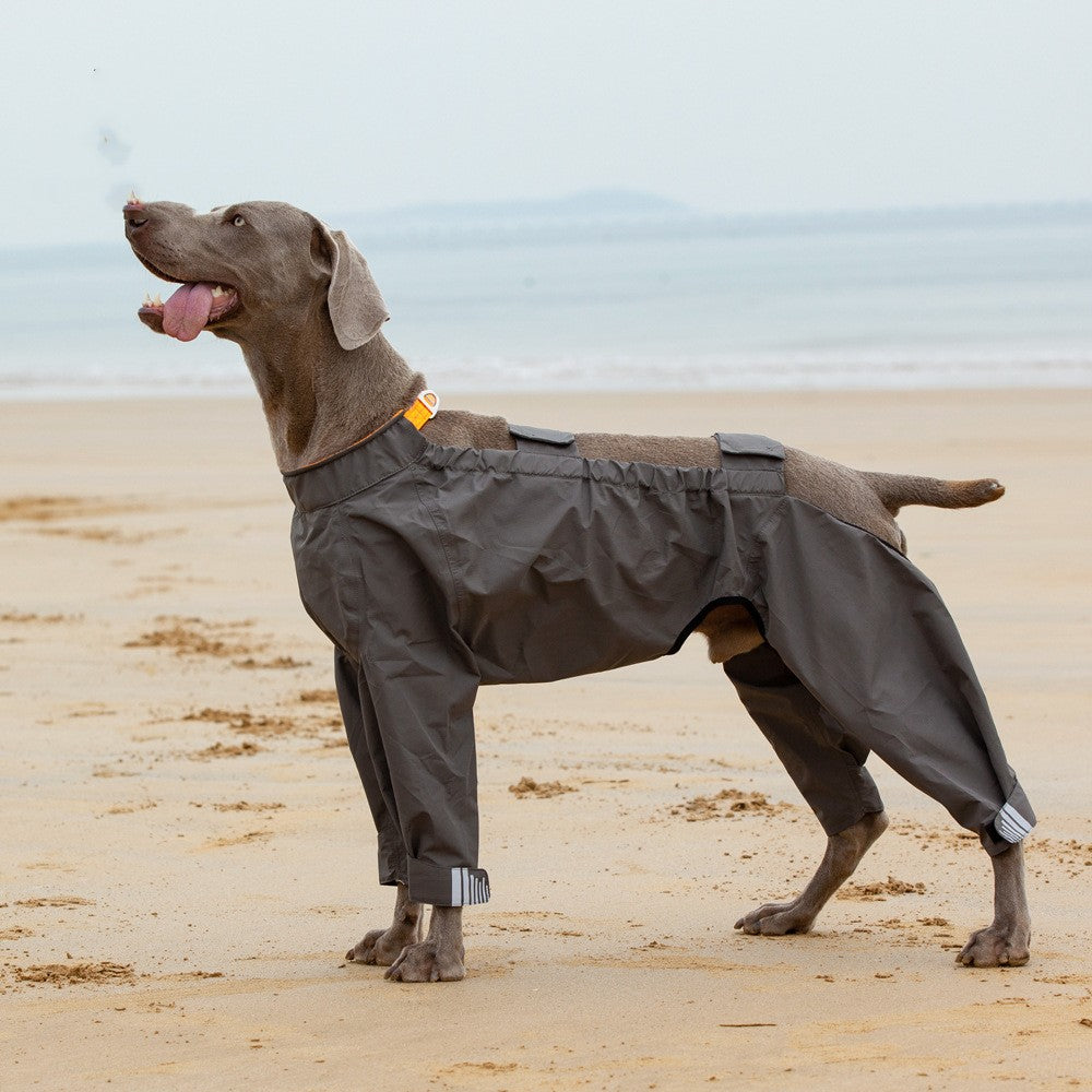 Poncho imperméable moyen grand chien à quatre pattes