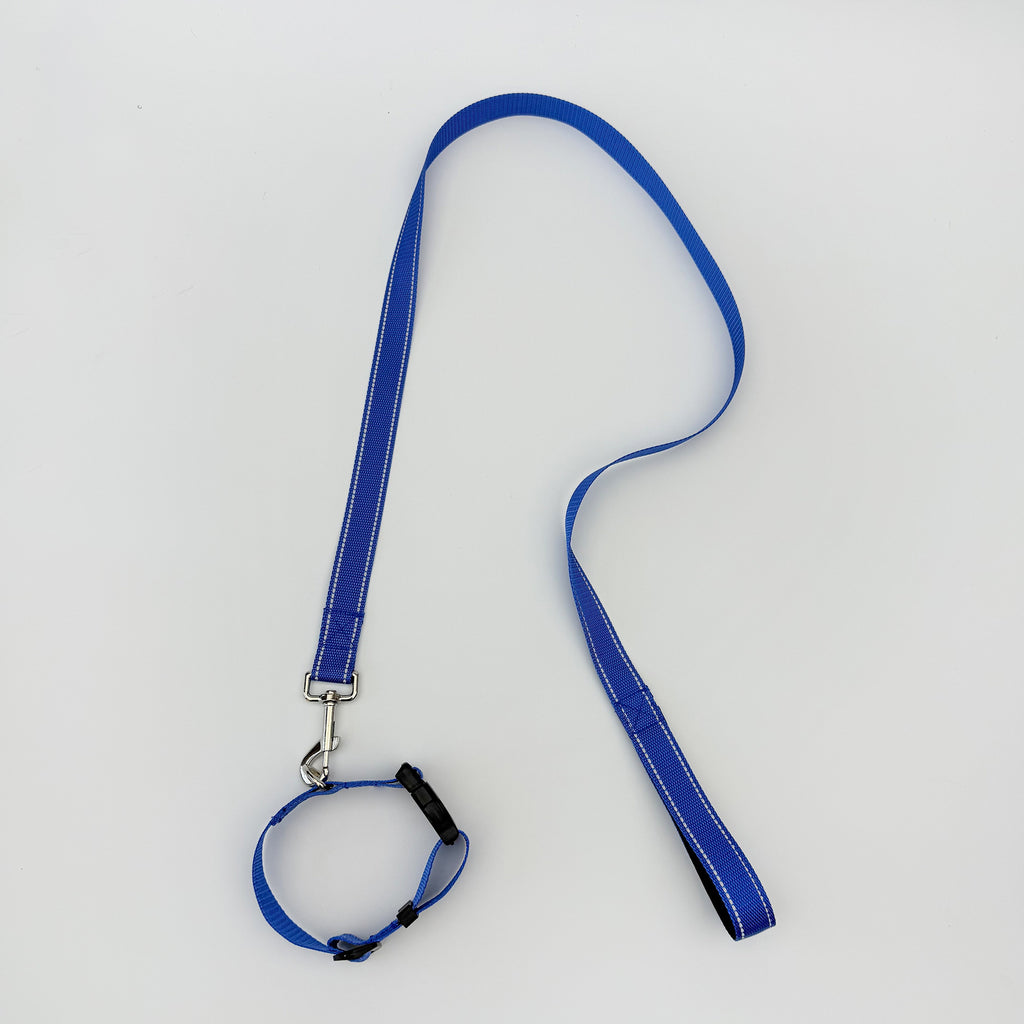 Ensemble de colliers pour animaux de compagnie
