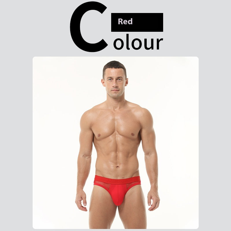 Sexy hommes slips hauts élastique Mesh bas taille culottes