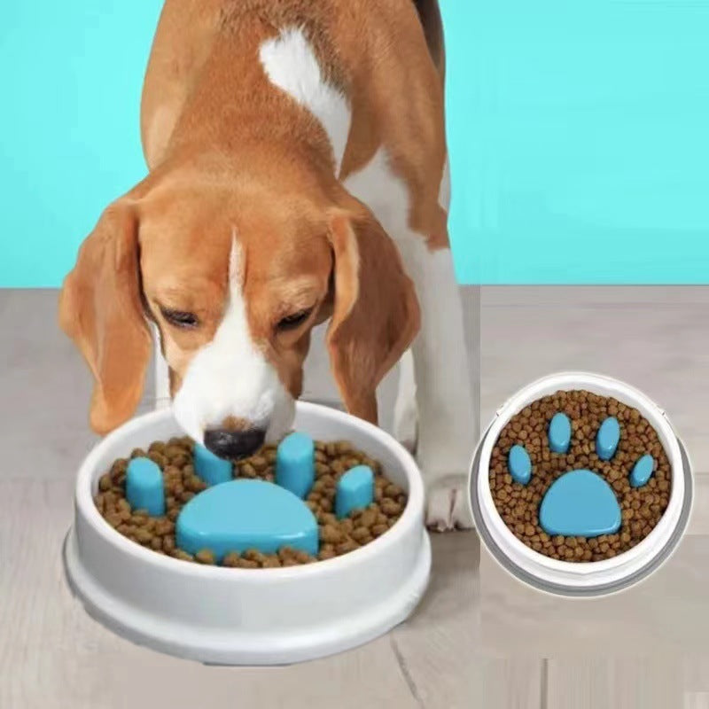 L'alimentation lente Anti-choc et non-dérapant Pet Bowl