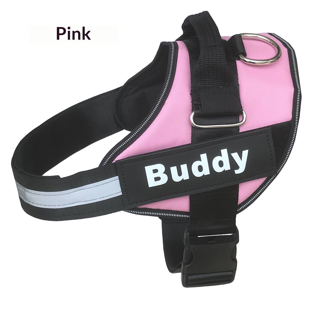 Harness Dog fournit des laisses et des paillettes
