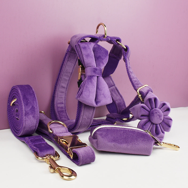 Collier de chien en peluche et fournitures pour animaux de compagnie en laisse