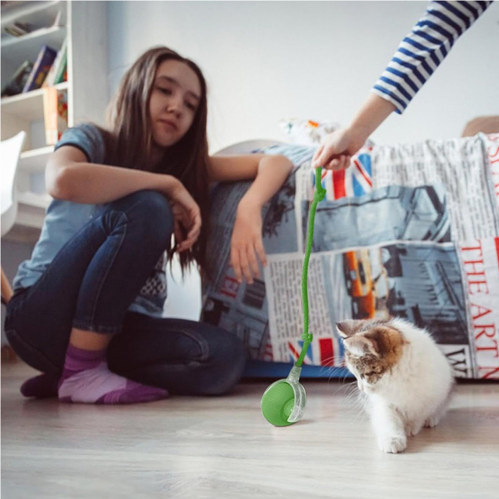 Jouet électrique de boule de chat de chien