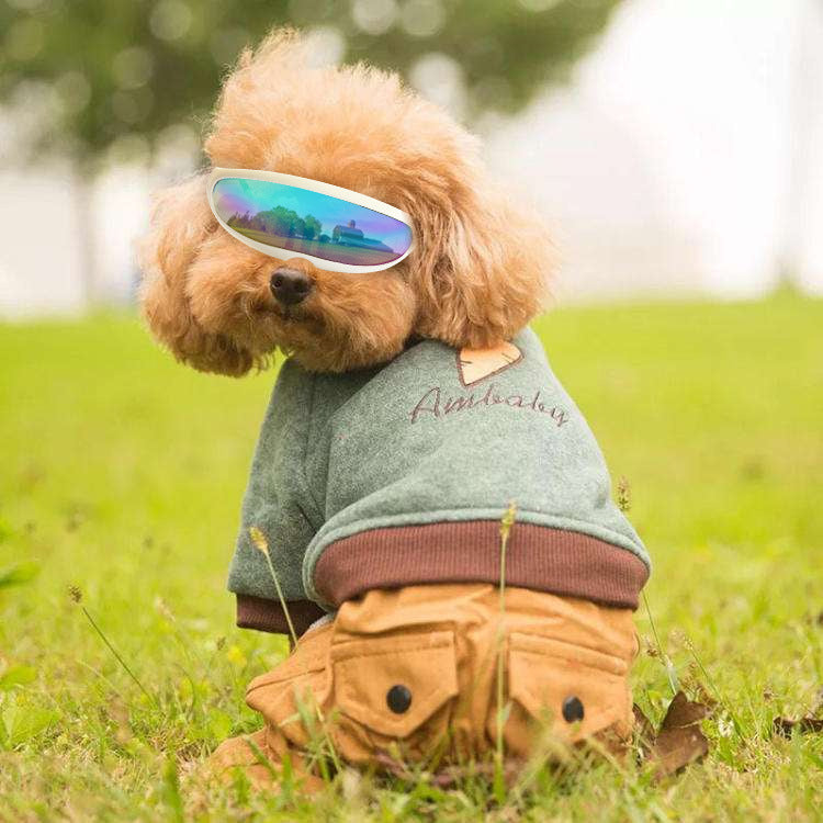 Accessoires pour chiens de compagnie Gants solaires UV