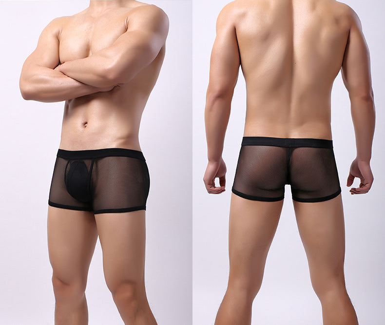 Sous-vêtements pour hommes Mesh Mesh Respirant Boxers Low Waist Transparent Boxers Youth Cool Short