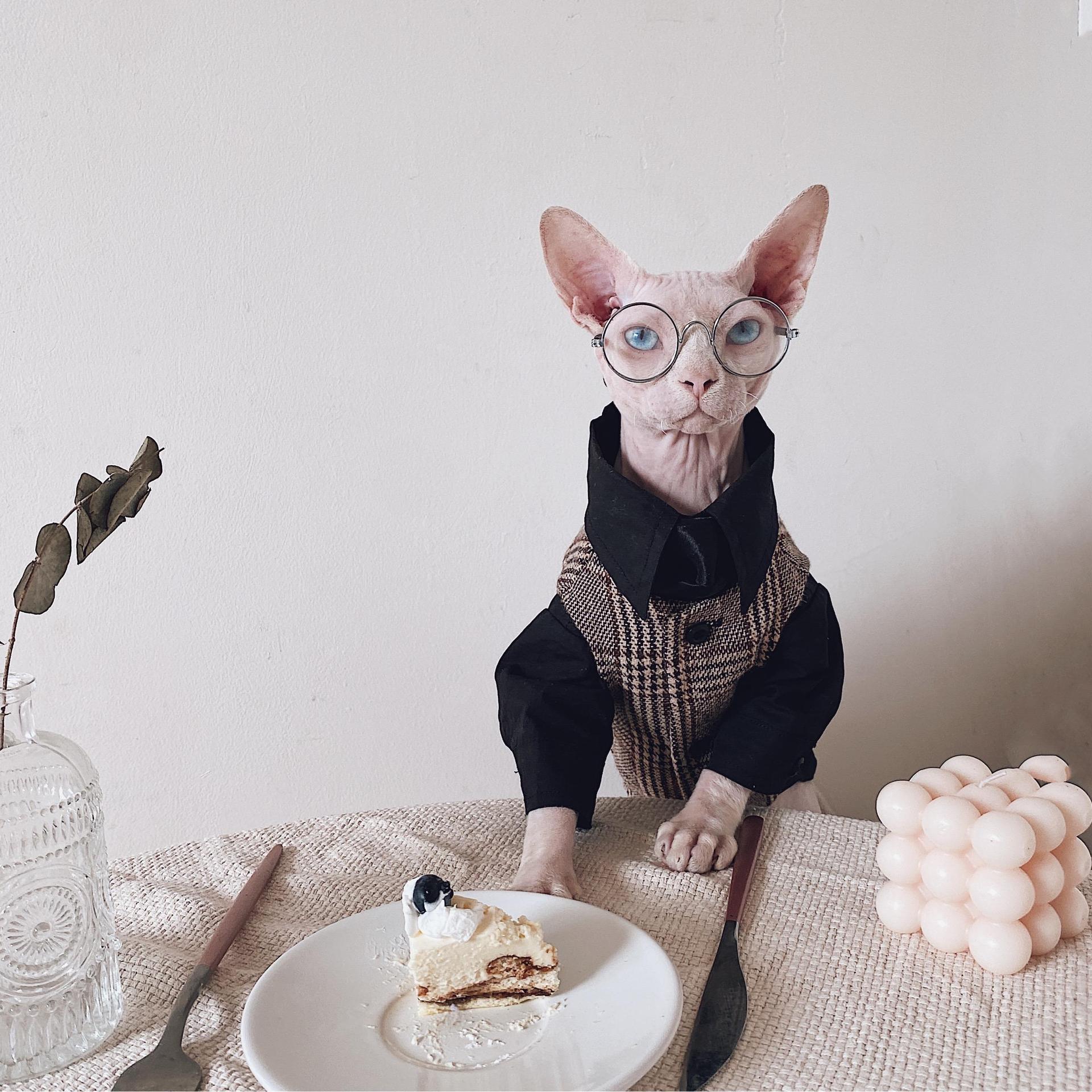 Robe de chat Sphynx Tie Vest Blazer Set pour chats sans cheveux