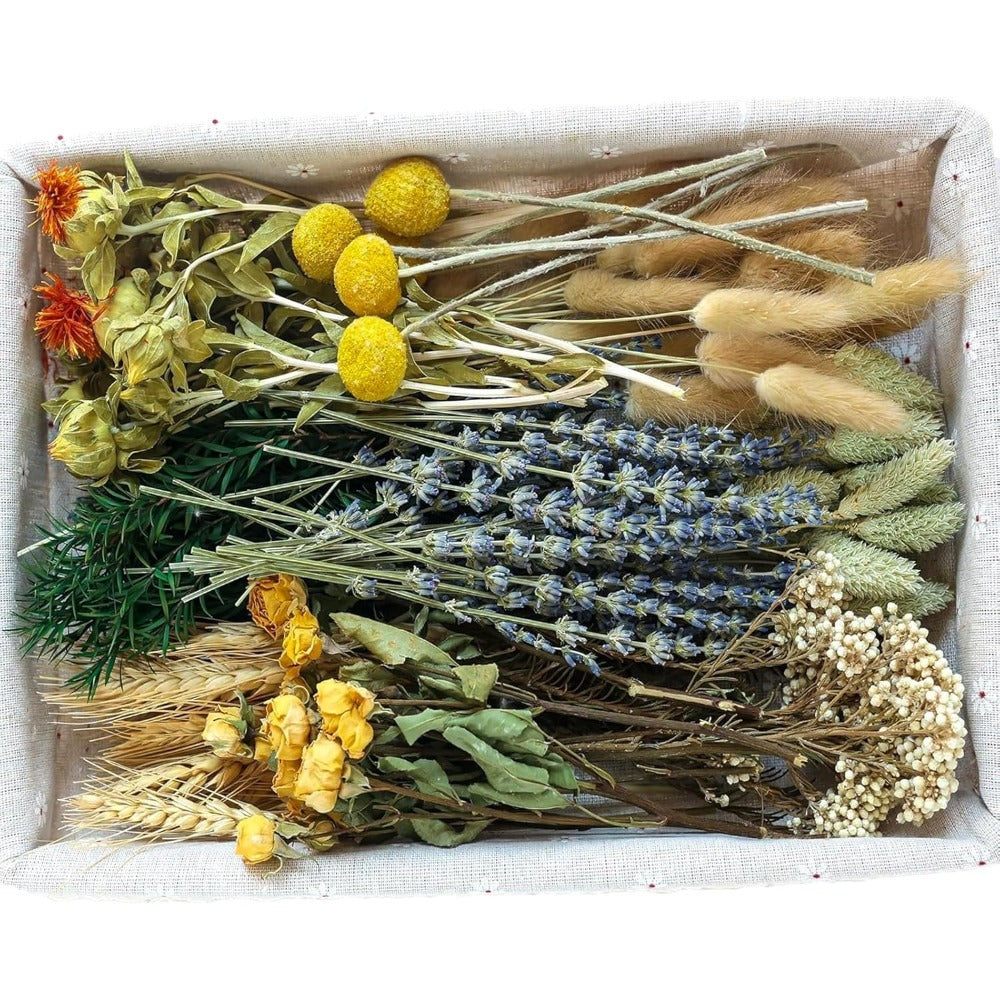 Set de fleurs séchées de 115 pièces en brun