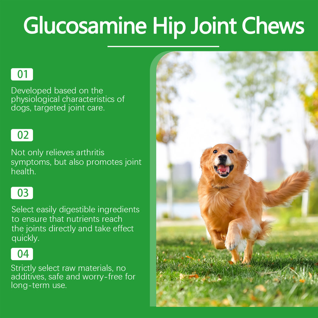 Chien Glucosamine Hip Mâches articulaires